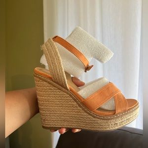 Light Orange wedges